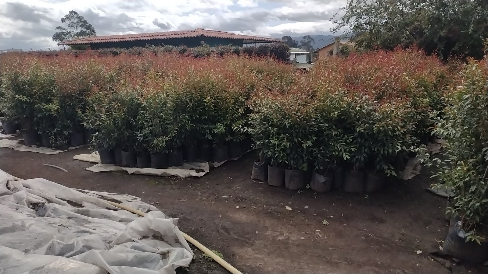 Conjunto residencial con malla